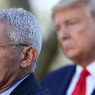 Can Trump fire Fauci? Technically, no | CNN Politics