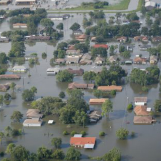 'Violence by Number Tampering': Trump Manipulated Government Estimates of Climate Costs, Says GAO Report