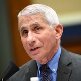 Dr. Anthony Fauci pleads with young people: 'You're propagating the pandemic'