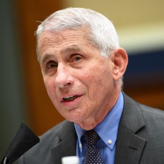 Dr. Anthony Fauci pleads with young people: 'You're propagating the pandemic'