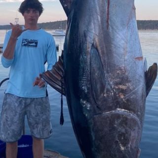 Teens reel in 700-pound bluefin tuna off coast of Maine