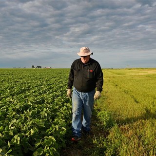 White House readies plan for $12 billion in emergency aid to farmers caught in Trump’s escalating trade war