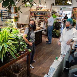 For Bay Area plant shops, business blooms amid pandemic