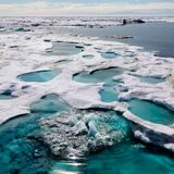 Arctic sea ice is in a downward spiral, and may break a record in 2020