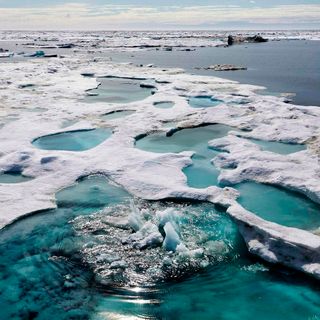 Arctic sea ice is in a downward spiral, and may break a record in 2020