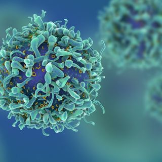 T-cells may hold the key to Covid-19 vaccine