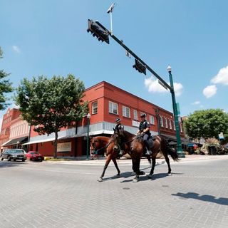 Southlake’s one-of-a-kind business isn’t horsing around