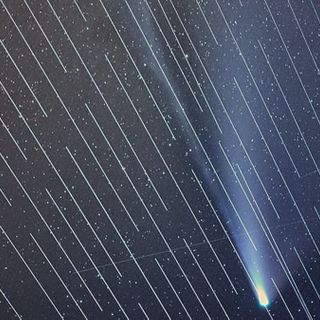 SpaceX Satellites Ruin Perfectly Good View of Comet NEOWISE