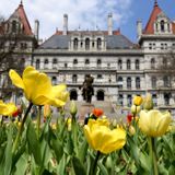 Efforts to give NY legislators more budget power unlikely to advance