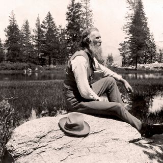 The Sierra Club speaks out against its 'racist' founder, environmental icon John Muir