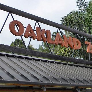 Oakland Zoo to Reopen Wednesday