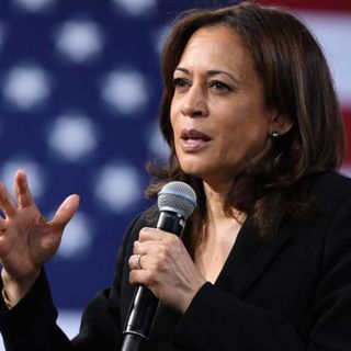 There's reportedly a 'contingent' of Democrats lobbying against Kamala Harris as Biden's running mate