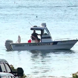 Swimmer dies after possible shark attack in Harpswell