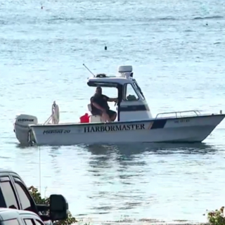 Swimmer dies after possible shark attack in Harpswell