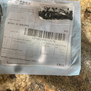 Don't plant these: Packages of mystery seeds arriving in Minnesota mailboxes