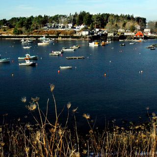 Officials: Woman Killed By Great White Shark Off Maine Coast