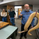 Could Snake Venom Cure Cancer? Colorado Scientists Say Research Suggests So