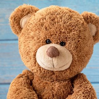 Missing bear returned: Woman gets teddy bear with late mother’s voice recording back