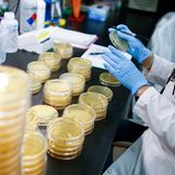 SEC becomes first federal agency to tell employees to stay home amid coronavirus outbreak