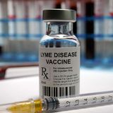 Lyme disease vaccine found to be safe and effective in clinical trial
