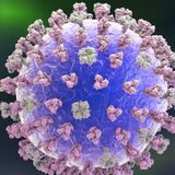 Researchers Step Up Efforts To Develop A 'Universal' Flu Vaccine