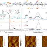 A polymer-based systemic hemostatic agent