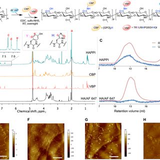 A polymer-based systemic hemostatic agent