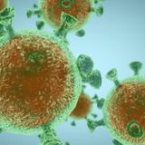 Coronavirus cases over 111,000: Live updates on COVID-19