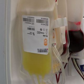 Recovered COVID-19 patients are being urged to donate their blood plasma