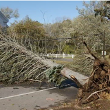 1 year later: A look back at the worst wind storm in Maine's history