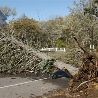 1 year later: A look back at the worst wind storm in Maine's history