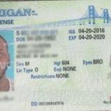 20,000 Fake driver’s licenses seized at Chicago airport so far this year