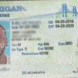 Shipments of nearly 20,000 fake driver's licenses seized at Chicago airport