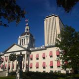 Here are South Florida’s state legislative races to watch