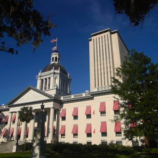 Here are South Florida’s state legislative races to watch