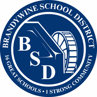 Brandywine School Board member tells teachers to find 'a new career' if they 'can't handle the risk' of returning to classroom