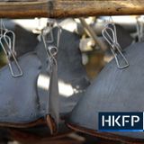 'Poisoning the public': Dangerous levels of mercury found in shark fin sold in Hong Kong - Hong Kong Free Press HKFP