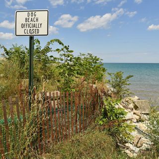 As Lake Michigan waters rise, erosion poses an existential threat to North Shore towns and homeowners