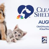 Looking to expand your family with a rescue pet? Help KPRC 2 Clear the Shelters this August