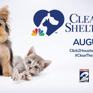 Looking to expand your family with a rescue pet? Help KPRC 2 Clear the Shelters this August