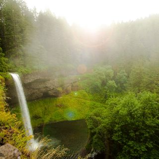 A Portland Man Is Out of the Hospital After Jumping Off a Waterfall at Silver Falls State Park