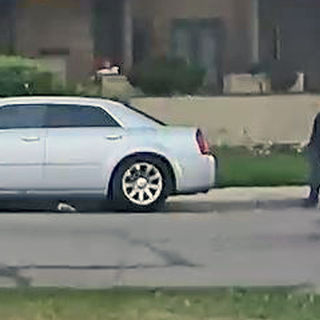 Police look for 2 people who shot, killed dog on Lakewood street in broad daylight