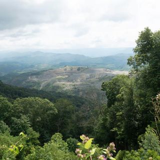 Judge Rules Justice-Controlled Coal Company Liable For Pollution Violations At W.Va. Mine