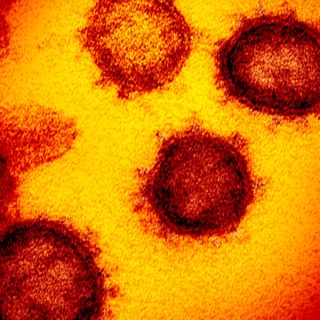 Coronavirus cases in Illinois hit highest single-day increase since May for second time in a week