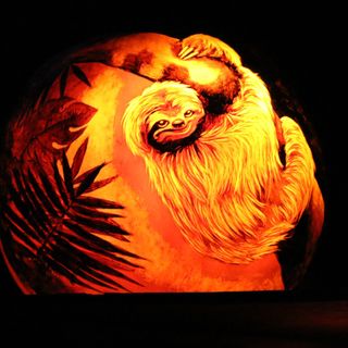 Jack-O-Lantern Spectacular happening this year as drive-thru event