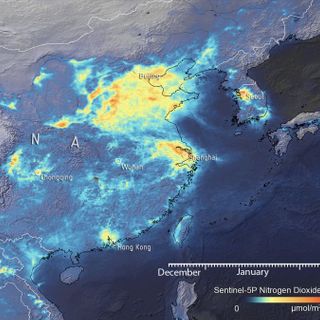 Dropped emissions during COVID-19 lockdown will do 'nothing' for climate change