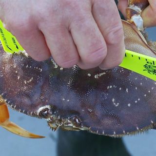 Oregon fishing industry hit hard during COVID-19 pandemic