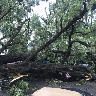 Powerful derecho leaves path of devastation across Midwest