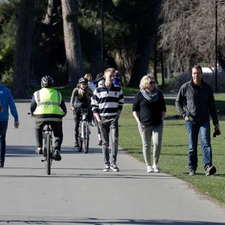 In New Zealand, Life Was Ordinary Again With No Virus Spread, But It Didn't Last