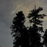 Perseid meteor showers to peak this week